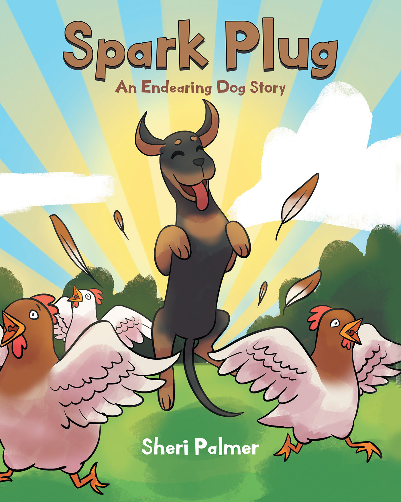 Spark Plug Cover Image