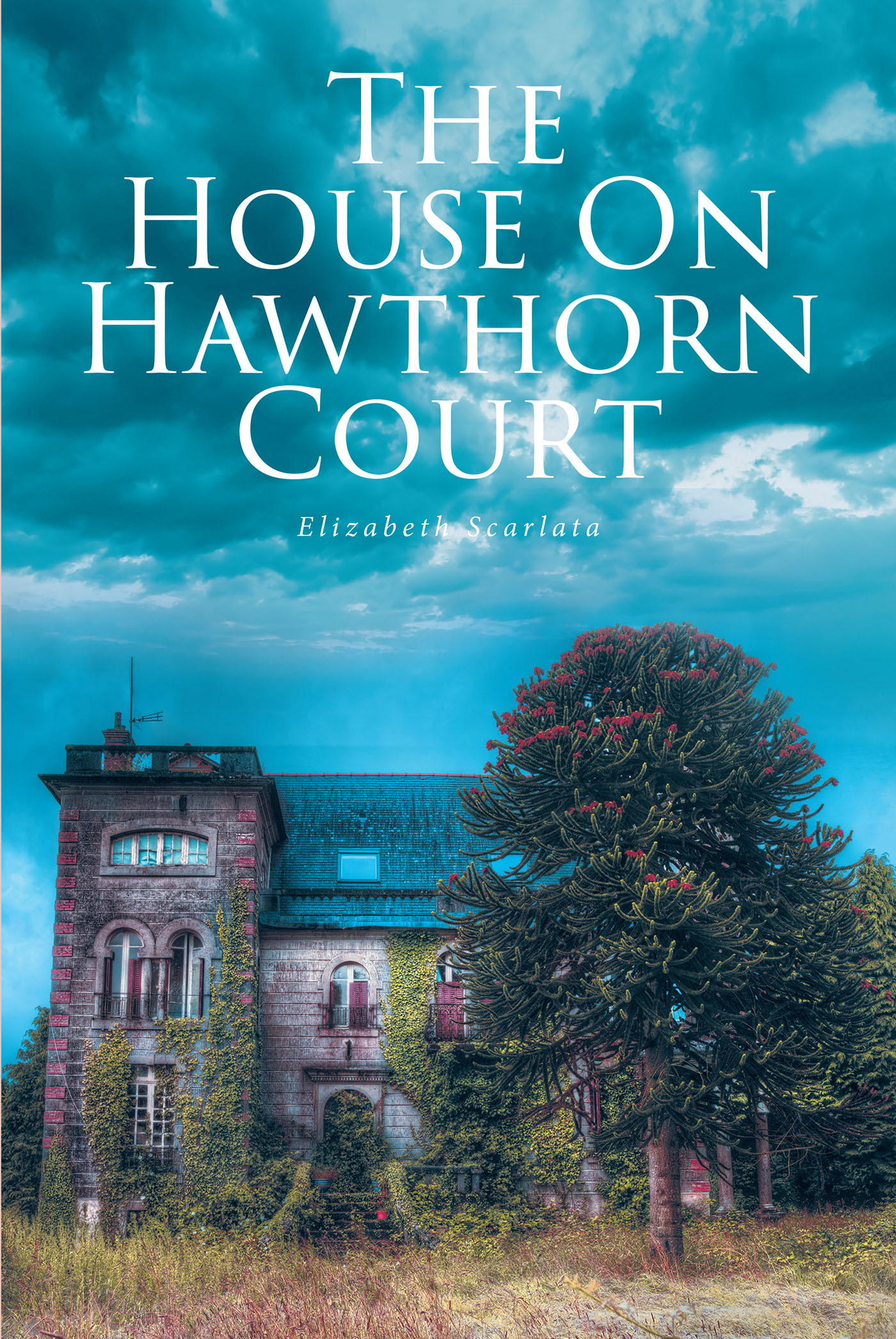 THE HOUSE ON HAWTHORN COURT Cover Image