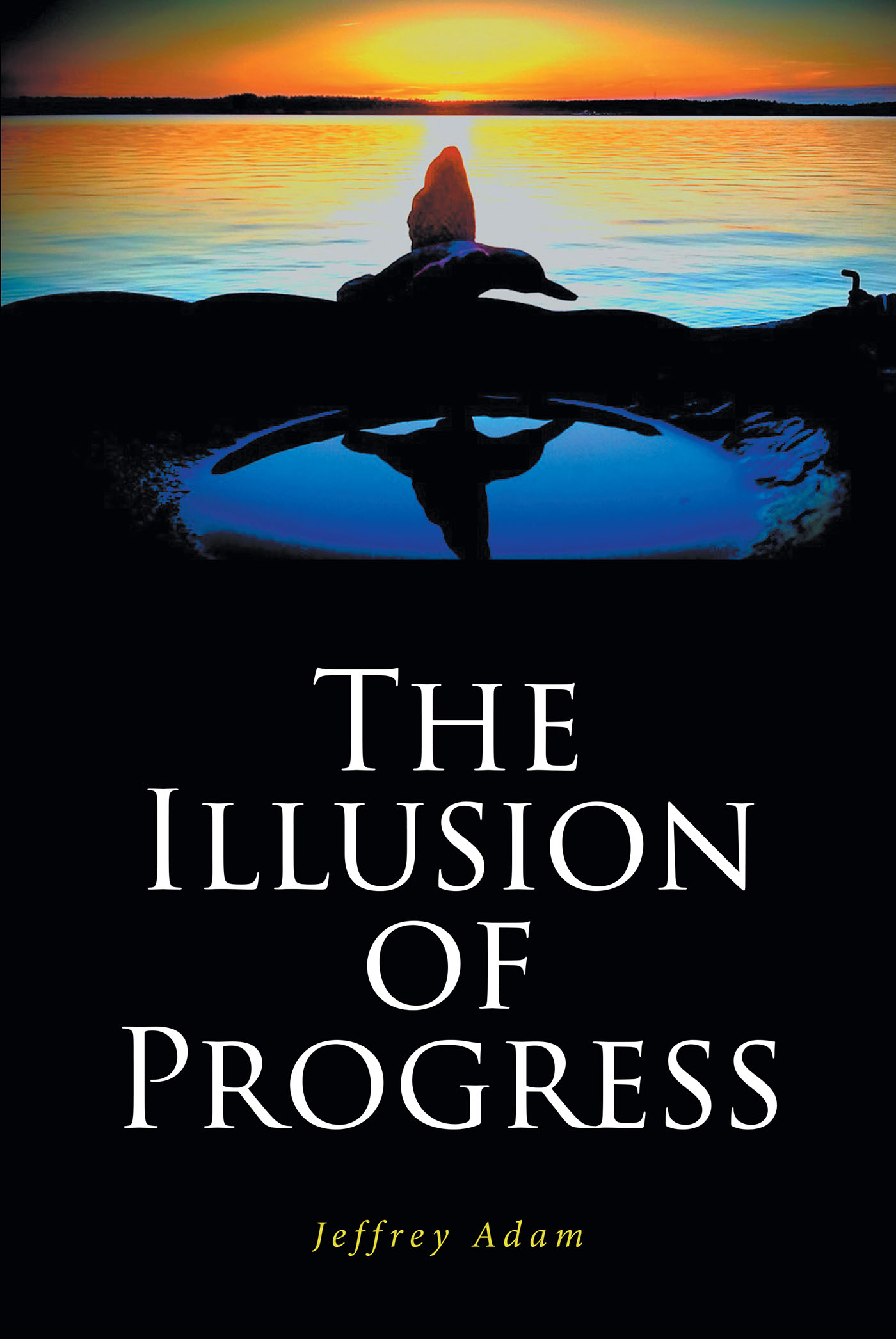 The Illusion of Progress Cover Image