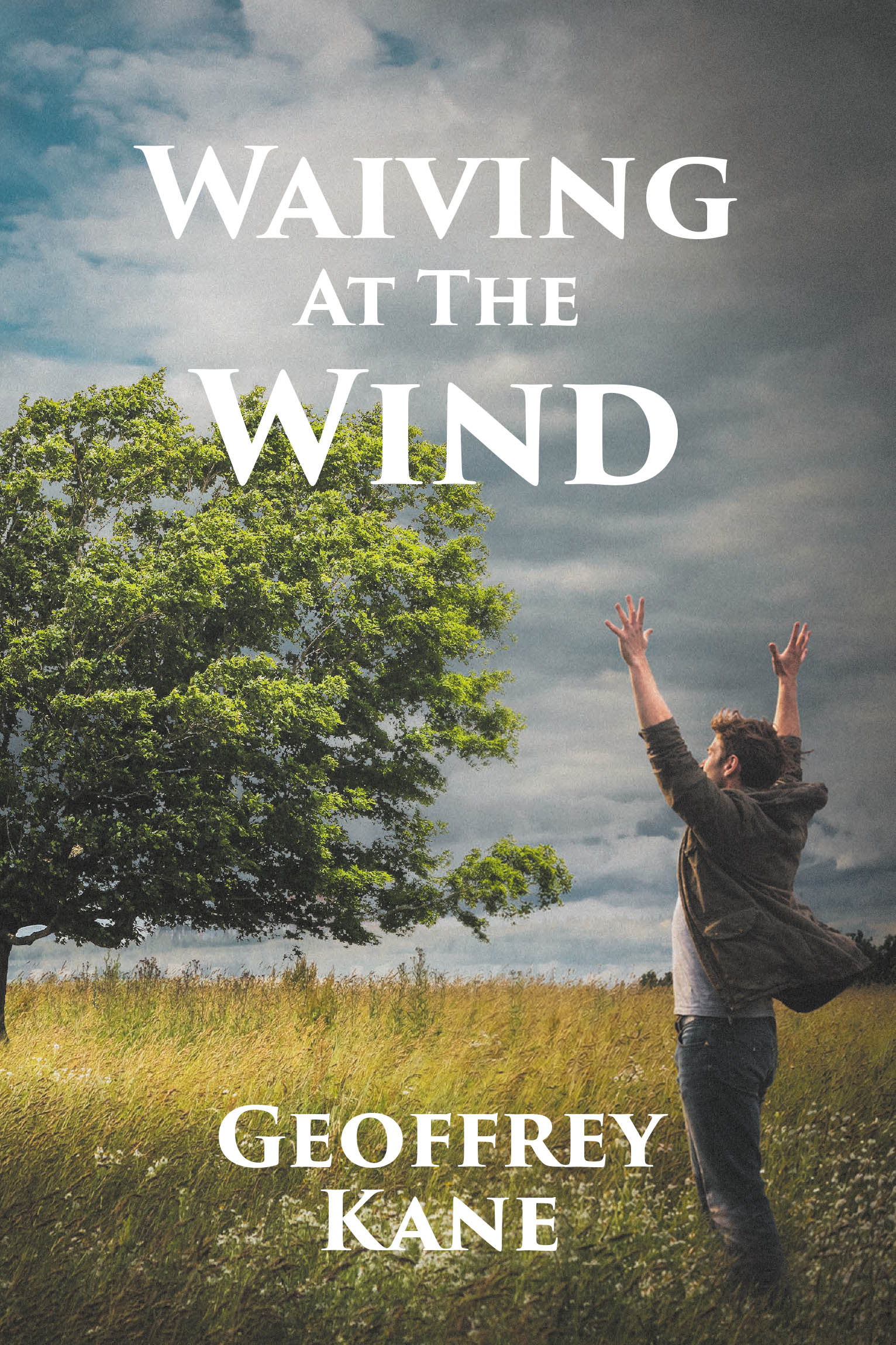Waiving At The Wind Cover Image