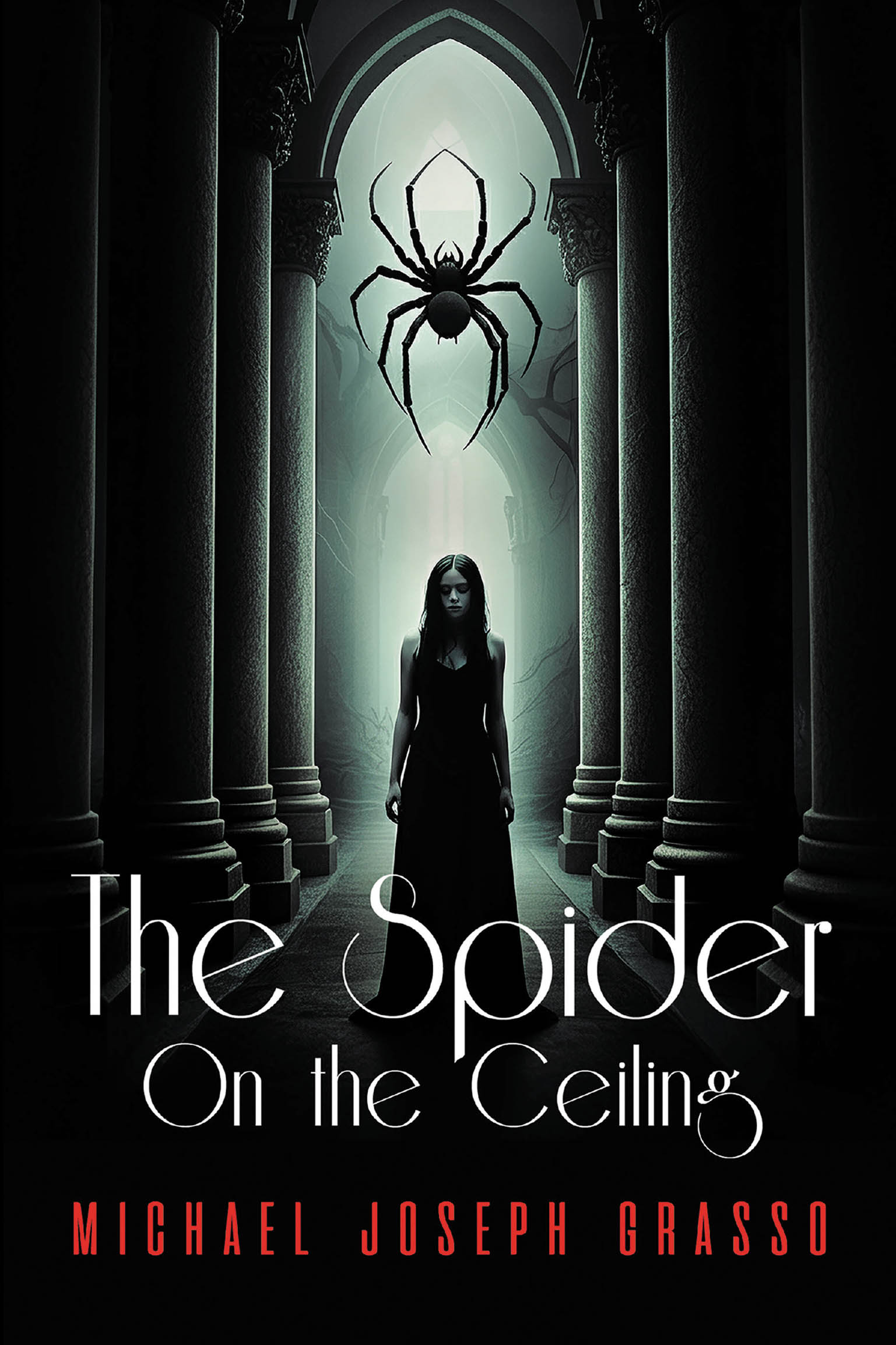 The Spider on the Ceiling Cover Image