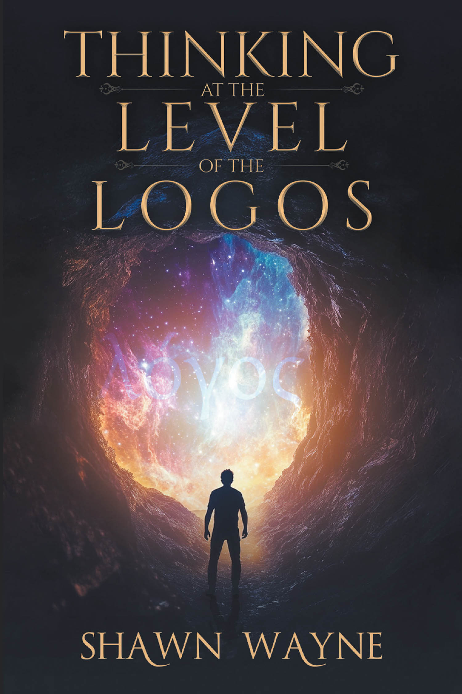 THINKING AT THE LEVEL OF THE LOGOS Cover Image