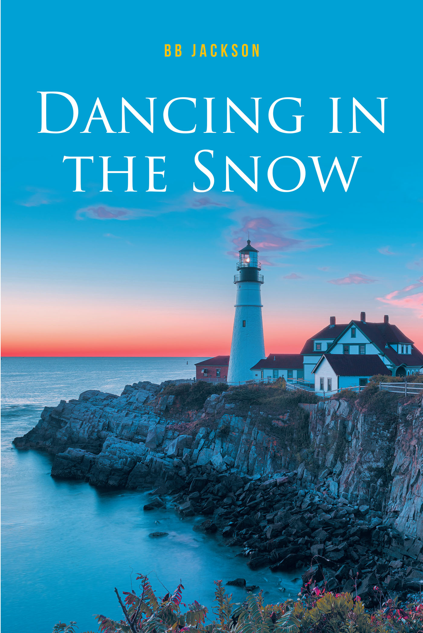 Dancing In The Snow Cover Image