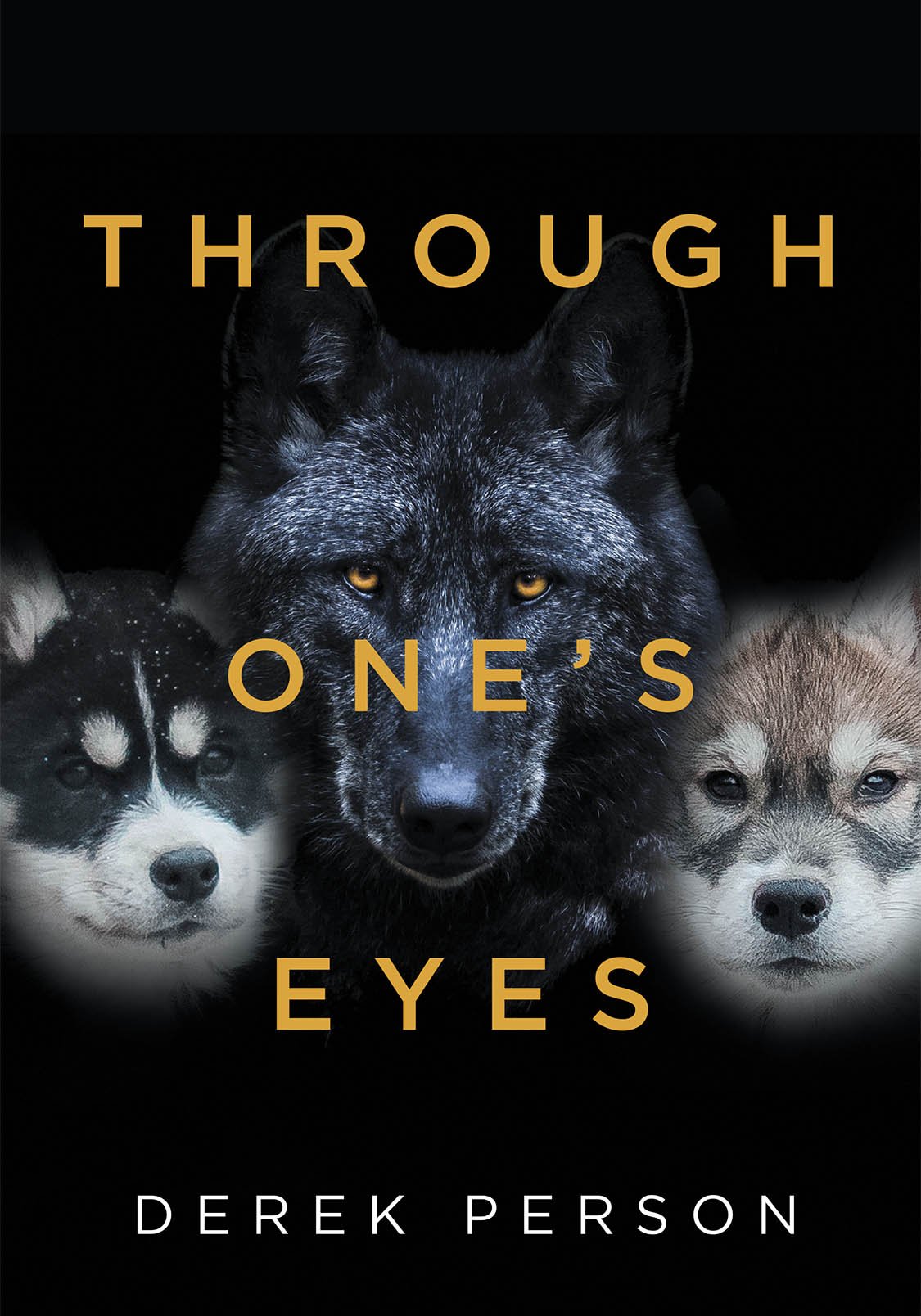 Through One's Eyes  Cover Image
