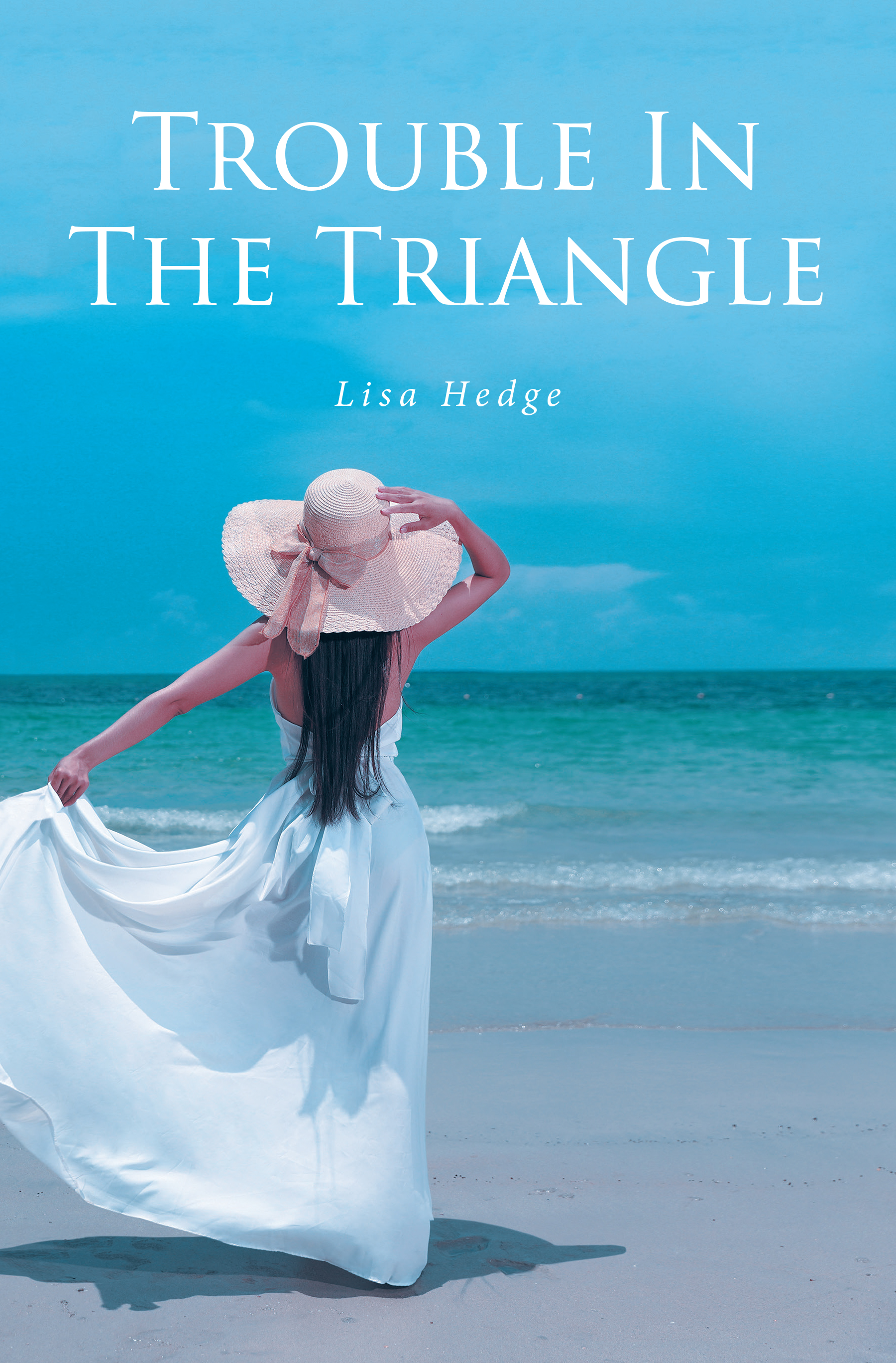 Trouble In The Triangle Cover Image
