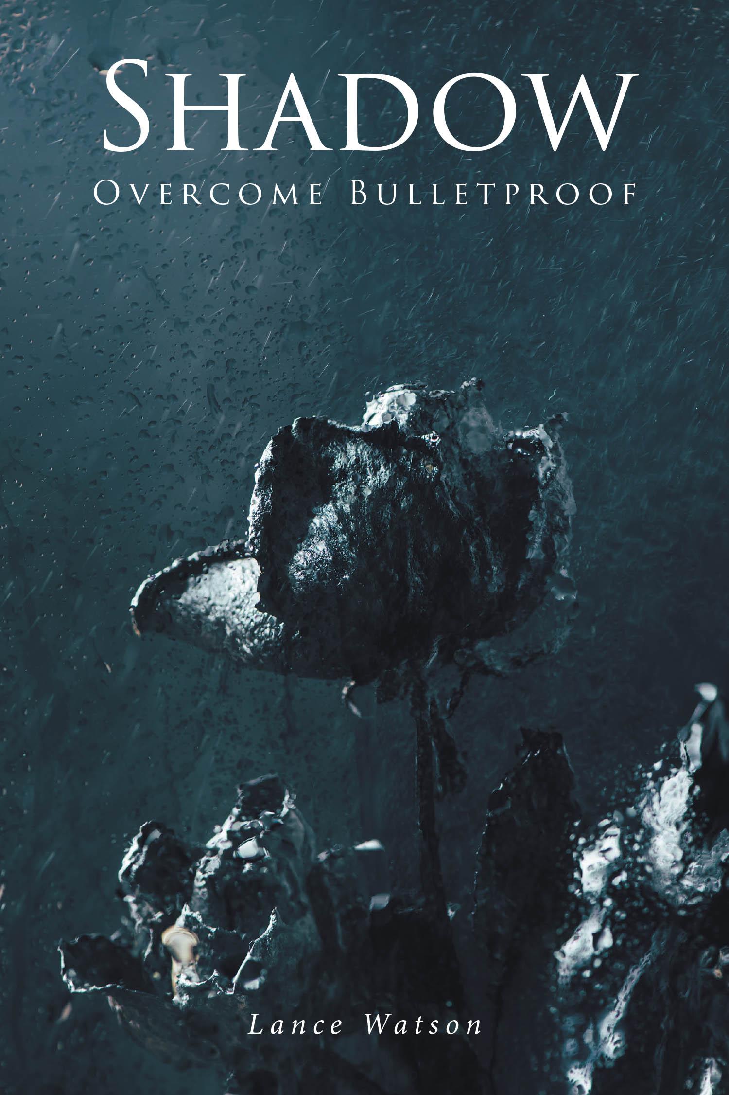 Shadow Cover Image