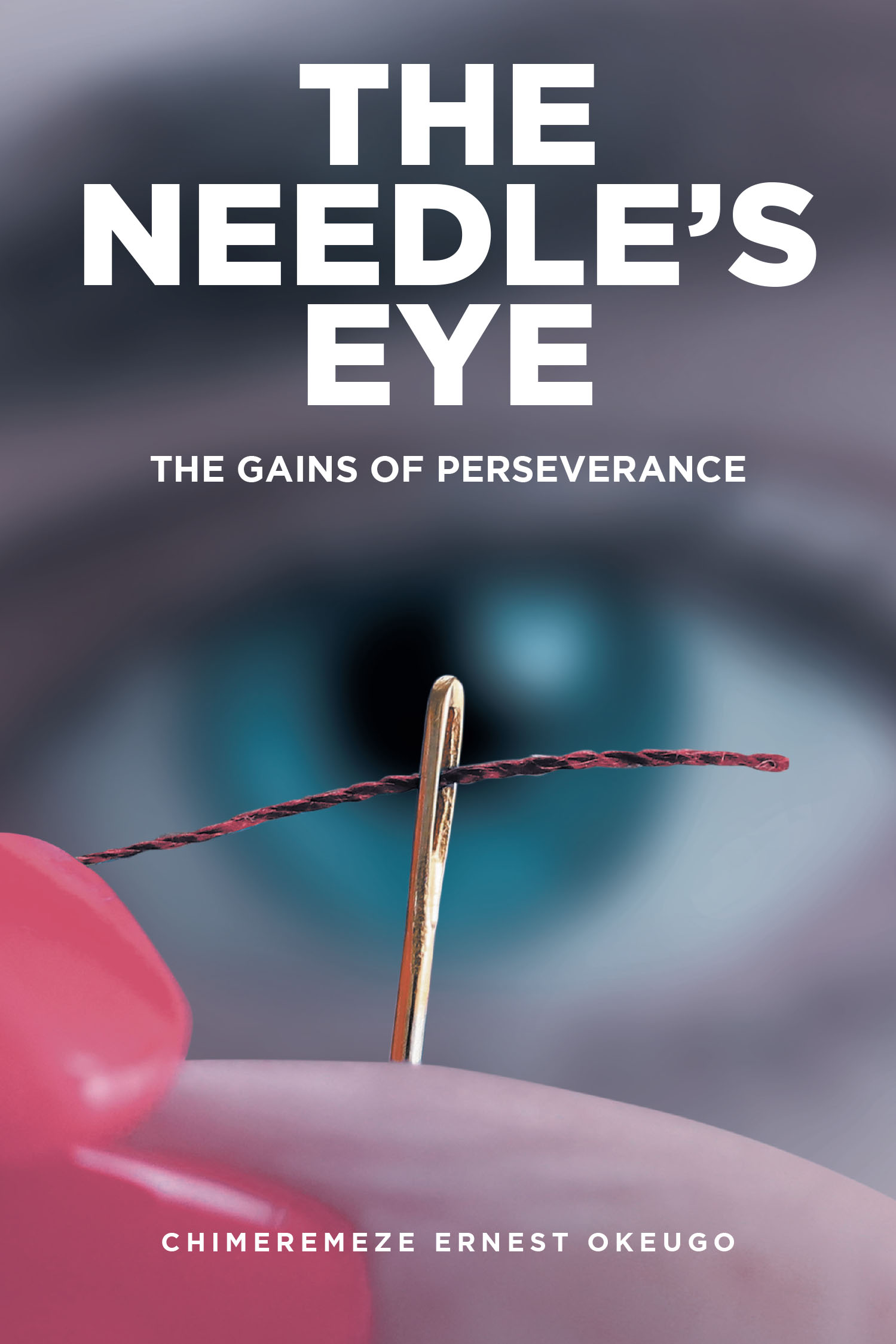 The Needle's Eye Cover Image