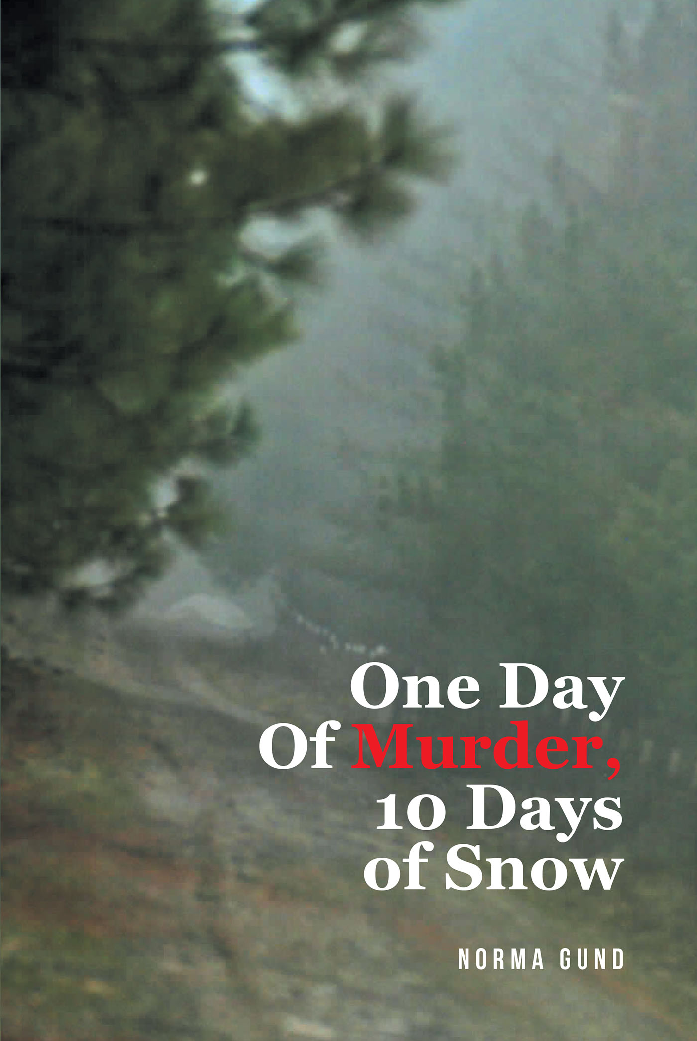 One Day Of Murder, 10 Days of Snow Cover Image