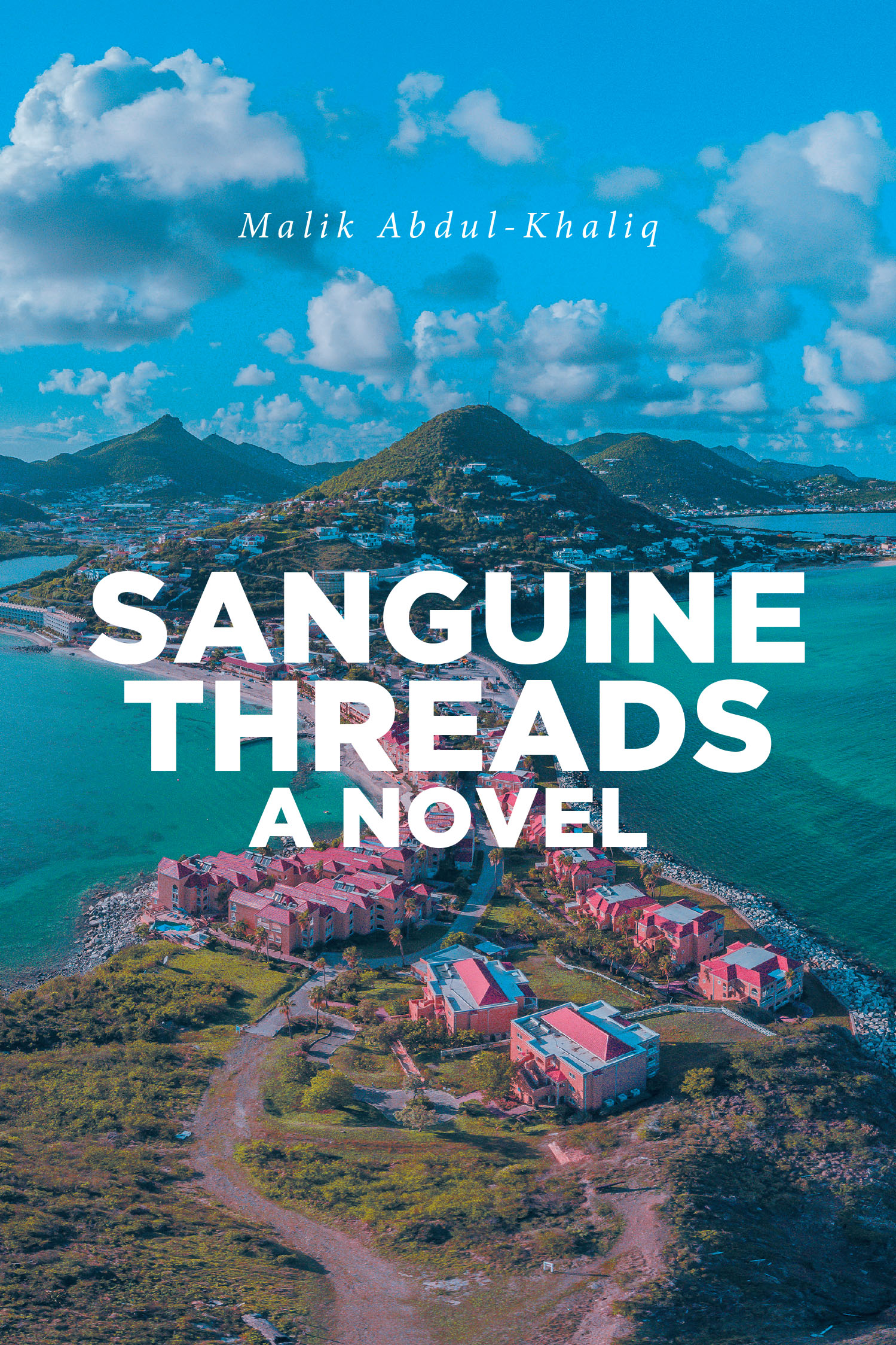 Sanguine Threads A Novel Cover Image