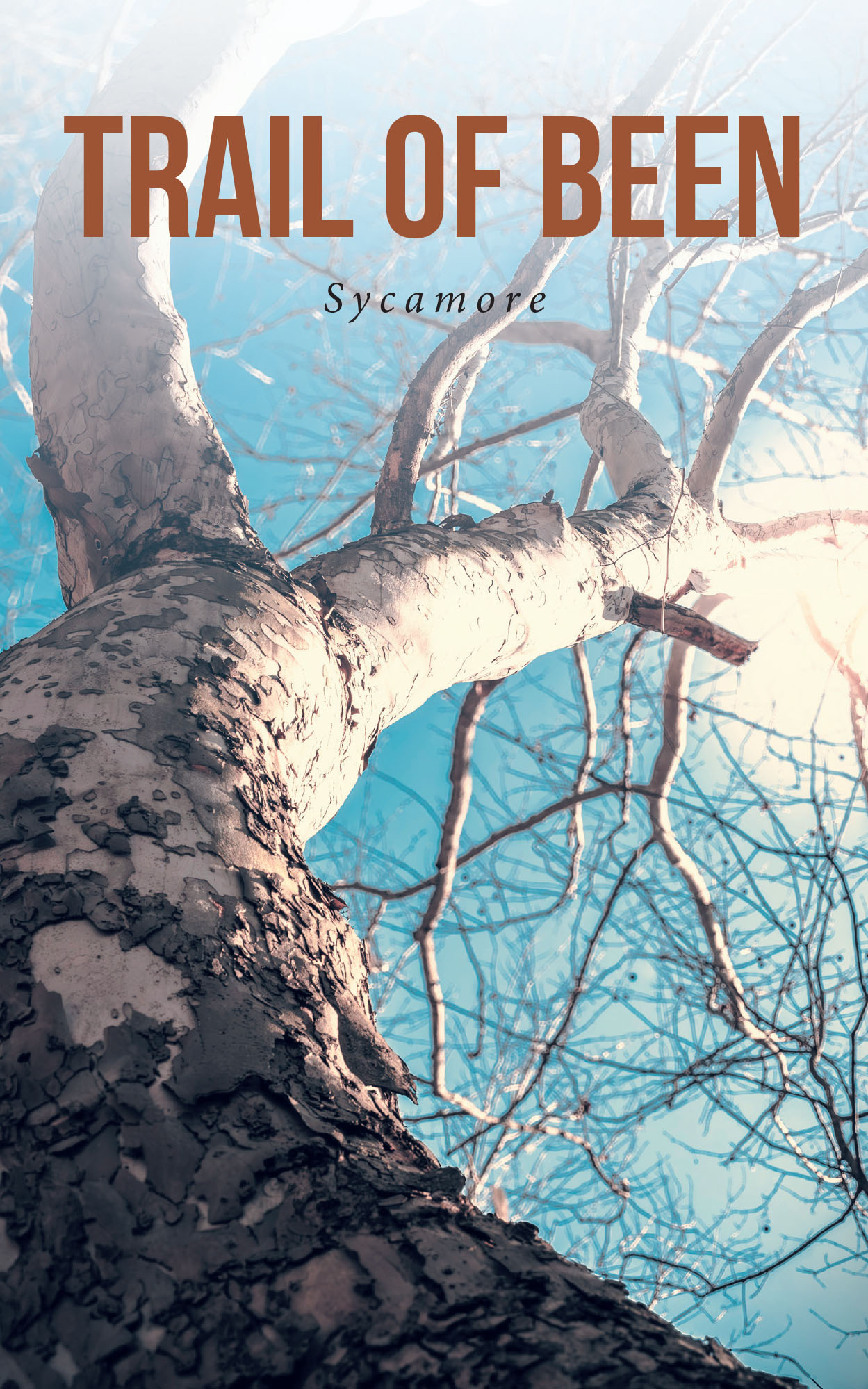 Trail of Been Cover Image