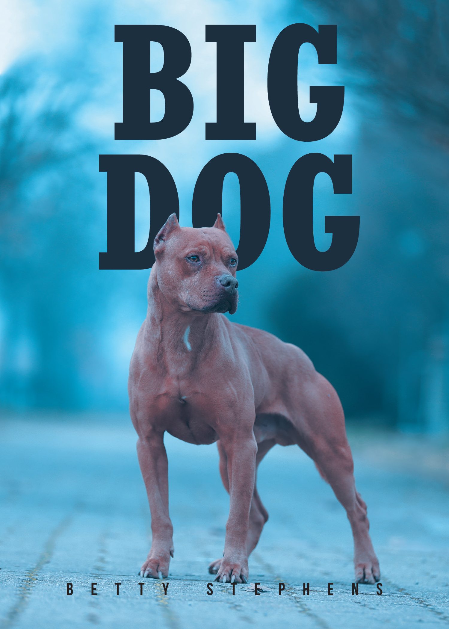 BIG DOG Cover Image