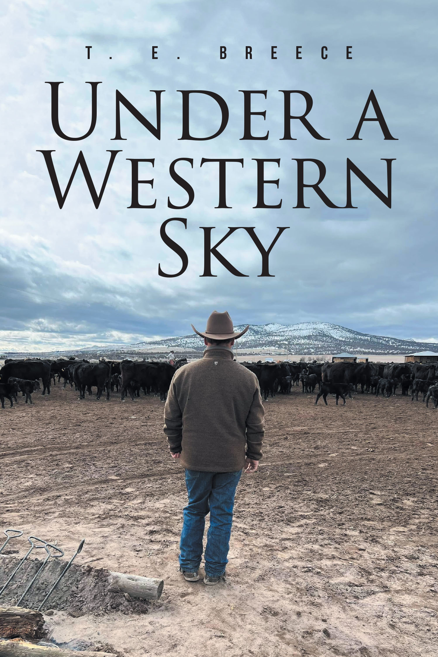Under a Western Sky Cover Image
