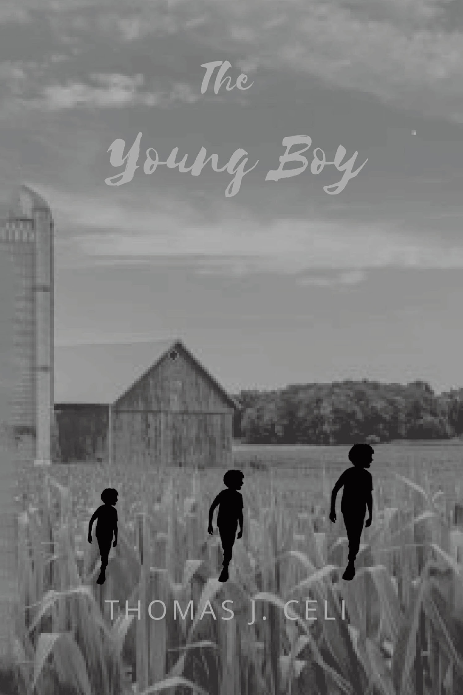The Young Boy Cover Image