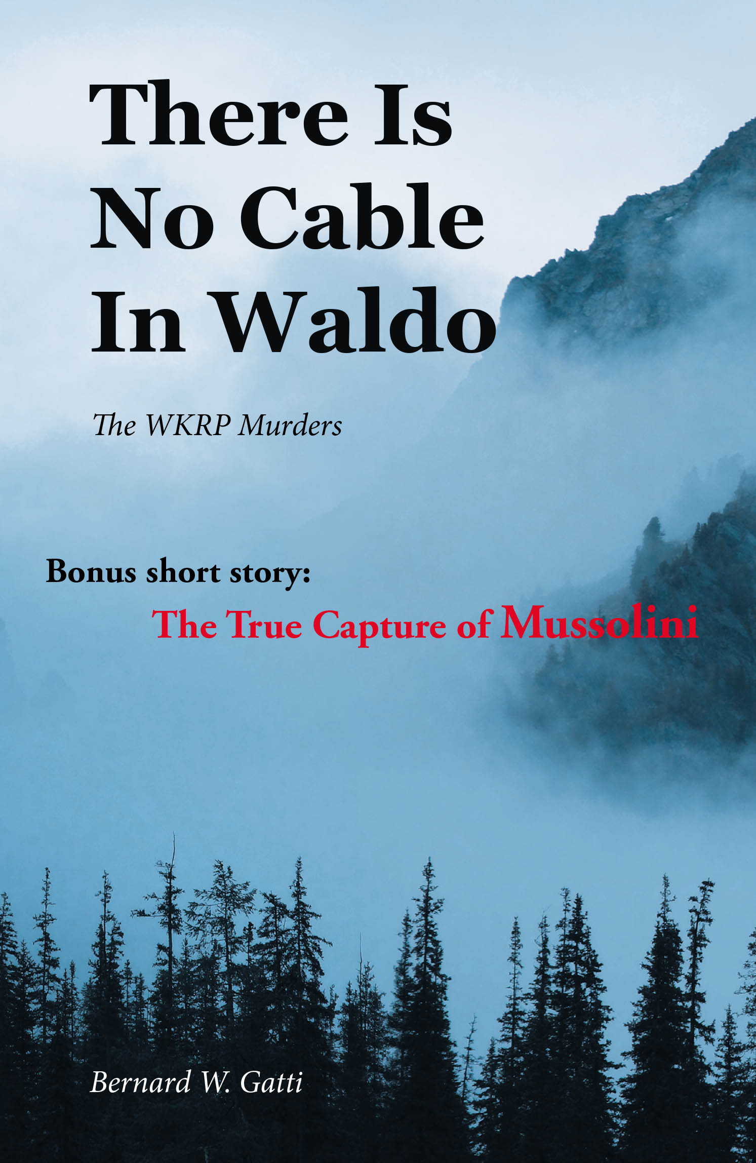 There Is No Cable In Waldo Cover Image
