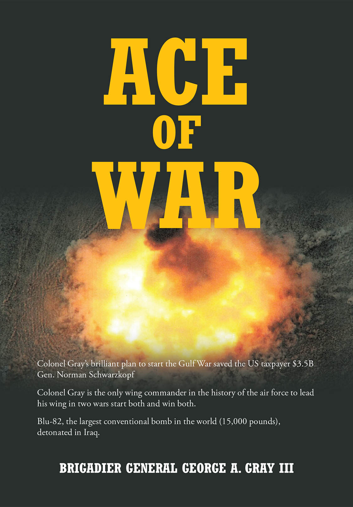 Ace of War Cover Image
