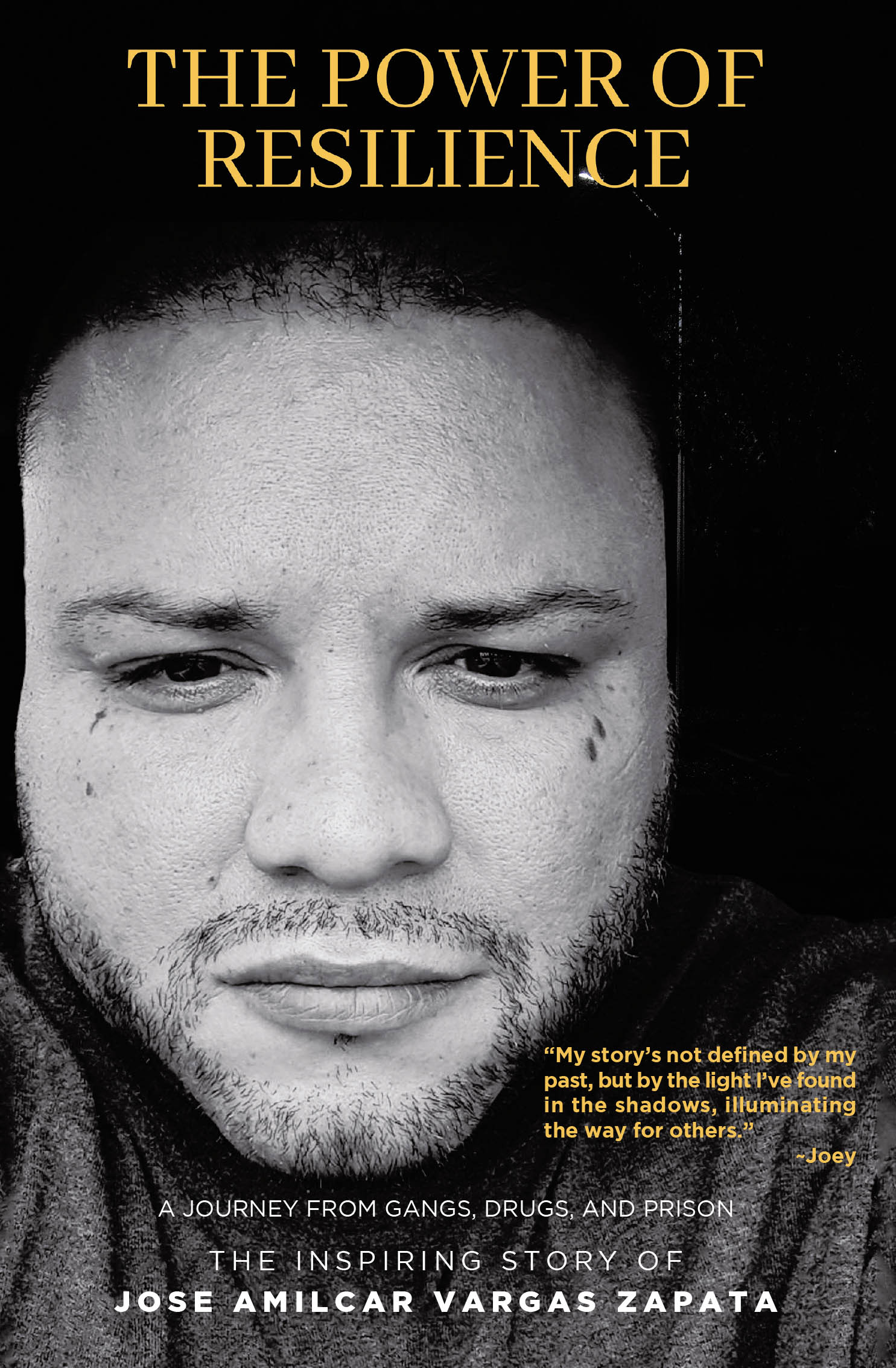 The Power of Resilience Cover Image