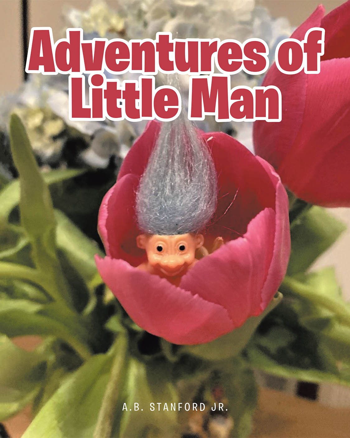 Adventures of Little Man Cover Image