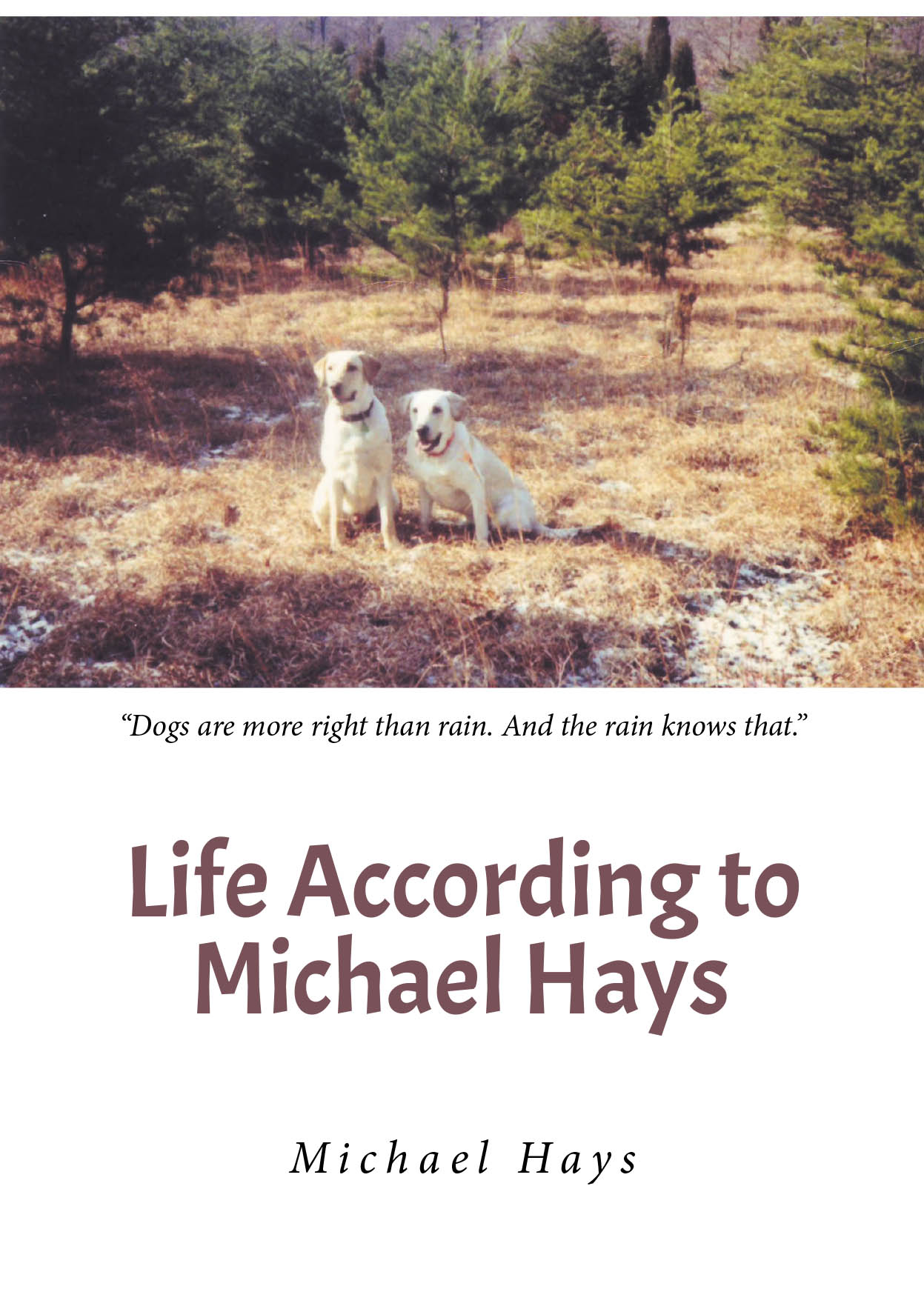 Life According to Michael Hays Cover Image