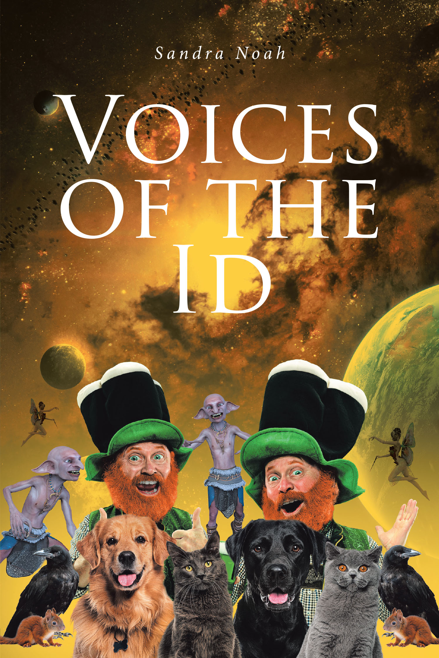 Voices of the ID Cover Image