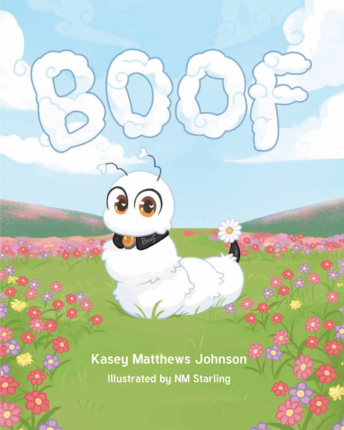 BOOF Cover Image