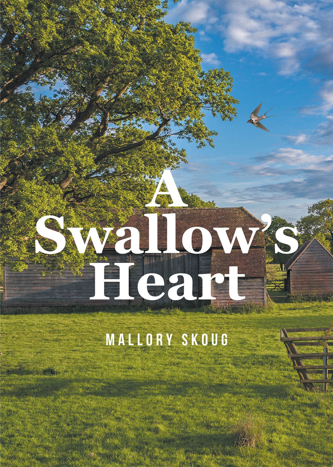 A Swallow's Heart Cover Image