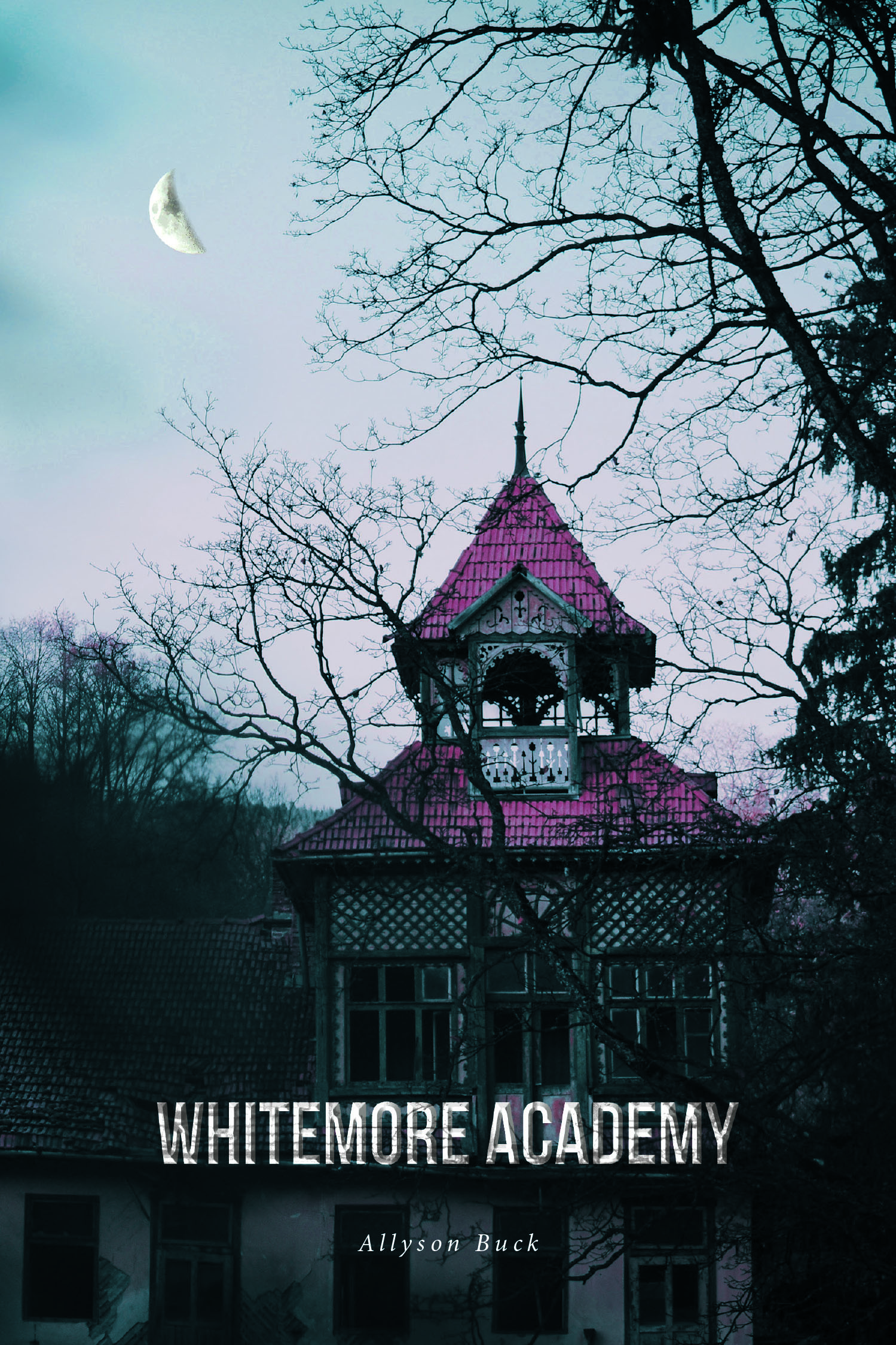 Whitemore Academy Cover Image