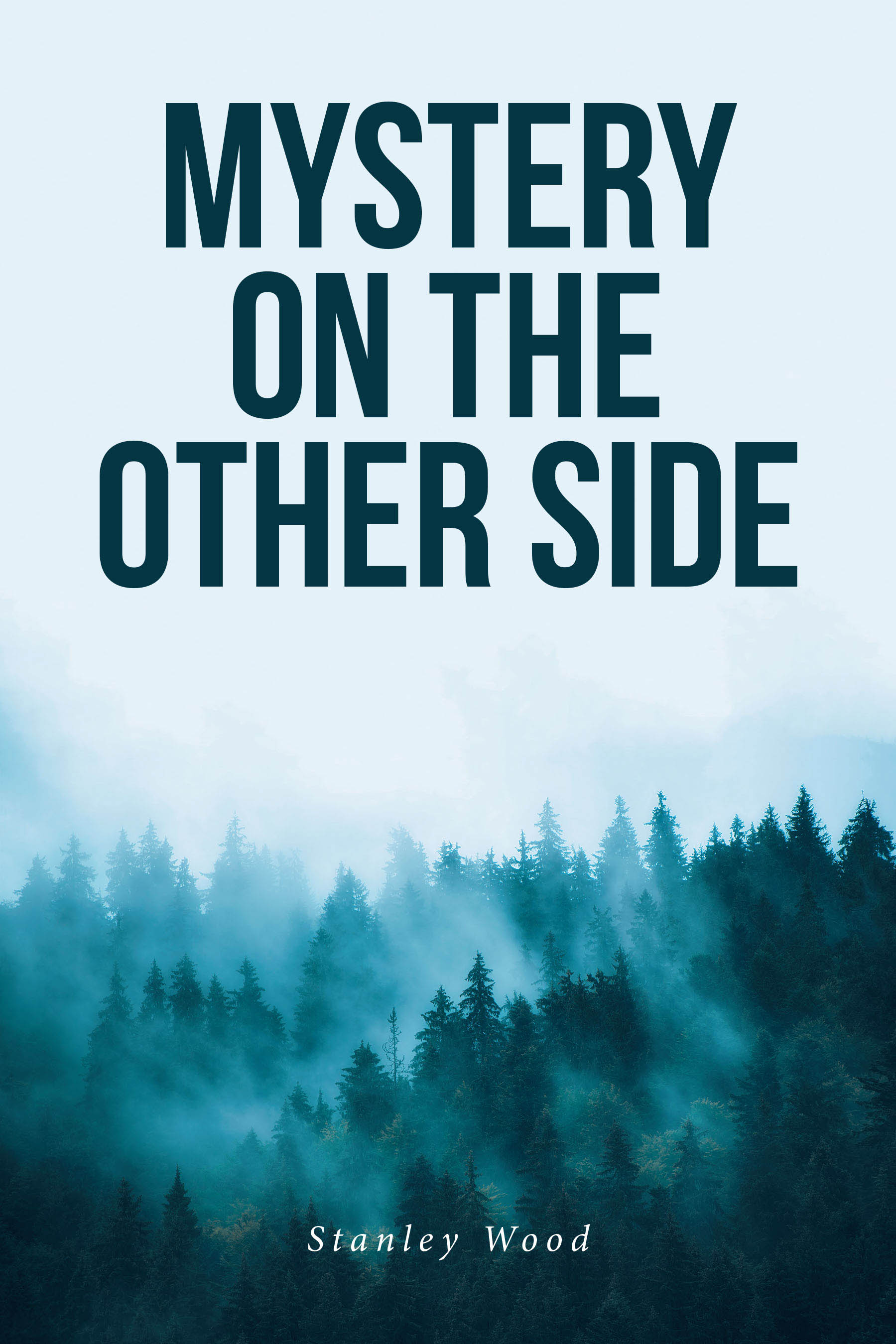 Mystery on the Other Side Cover Image