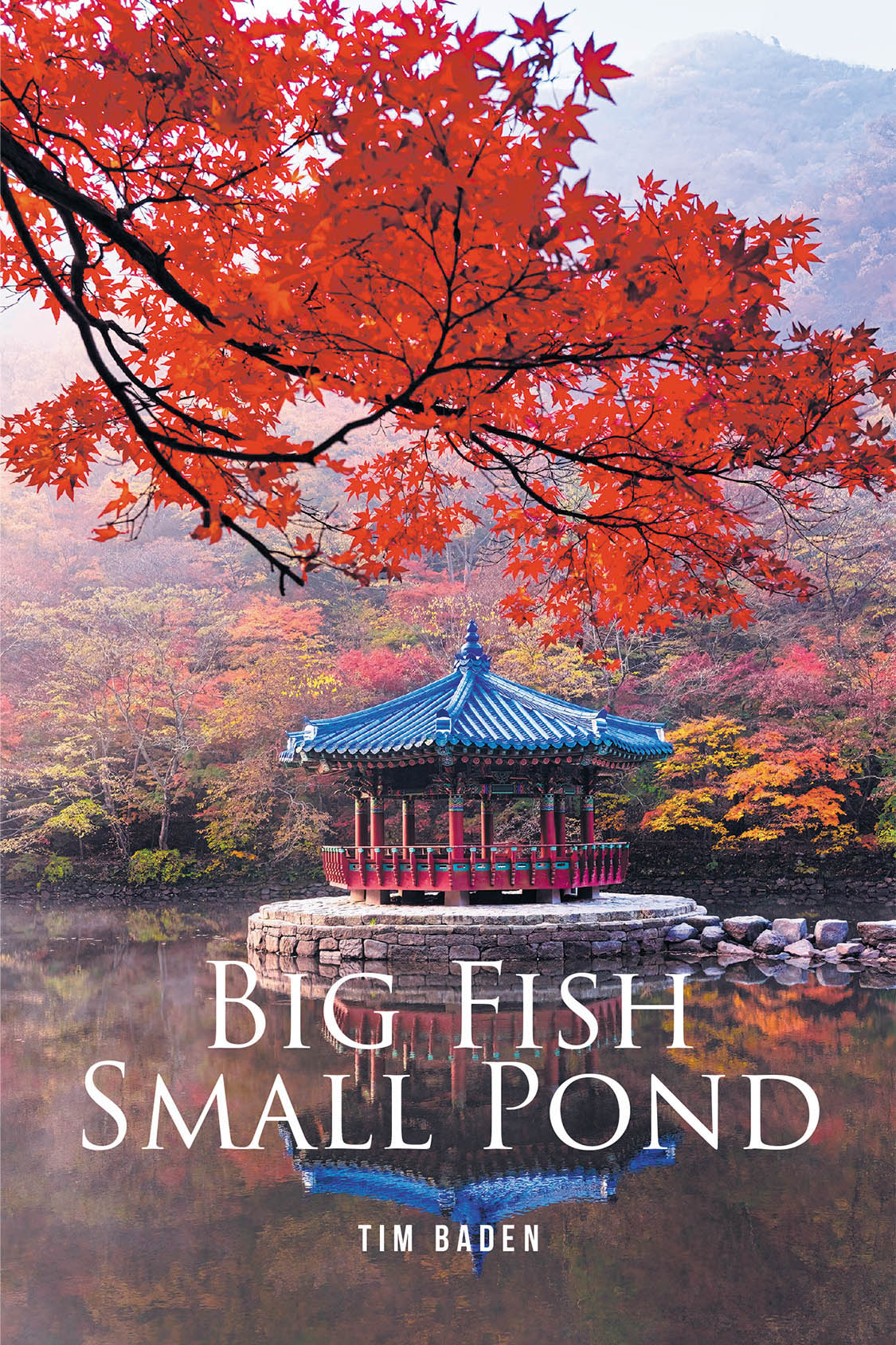 Big Fish Small Pond Cover Image