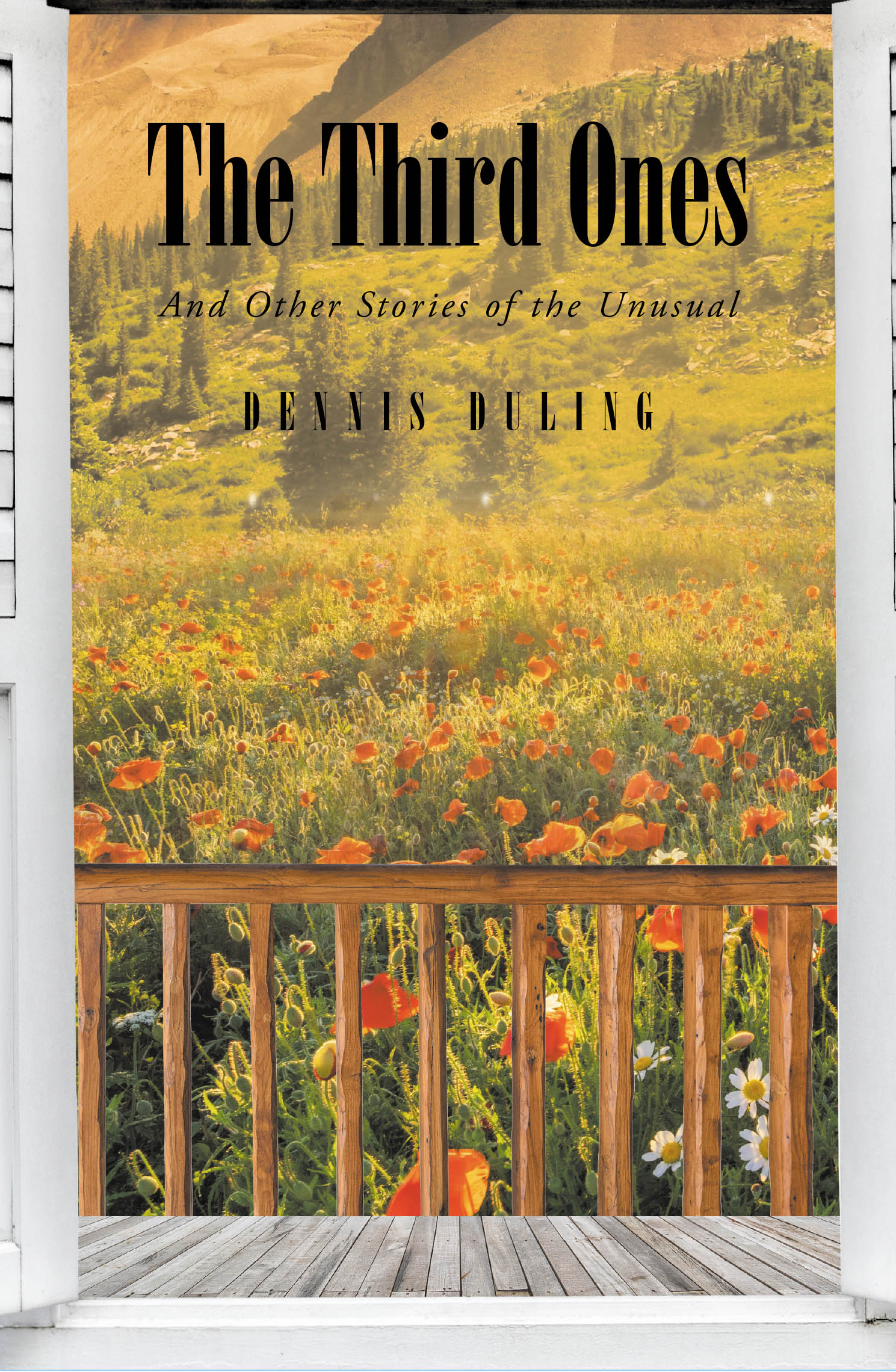 The Third Ones Cover Image