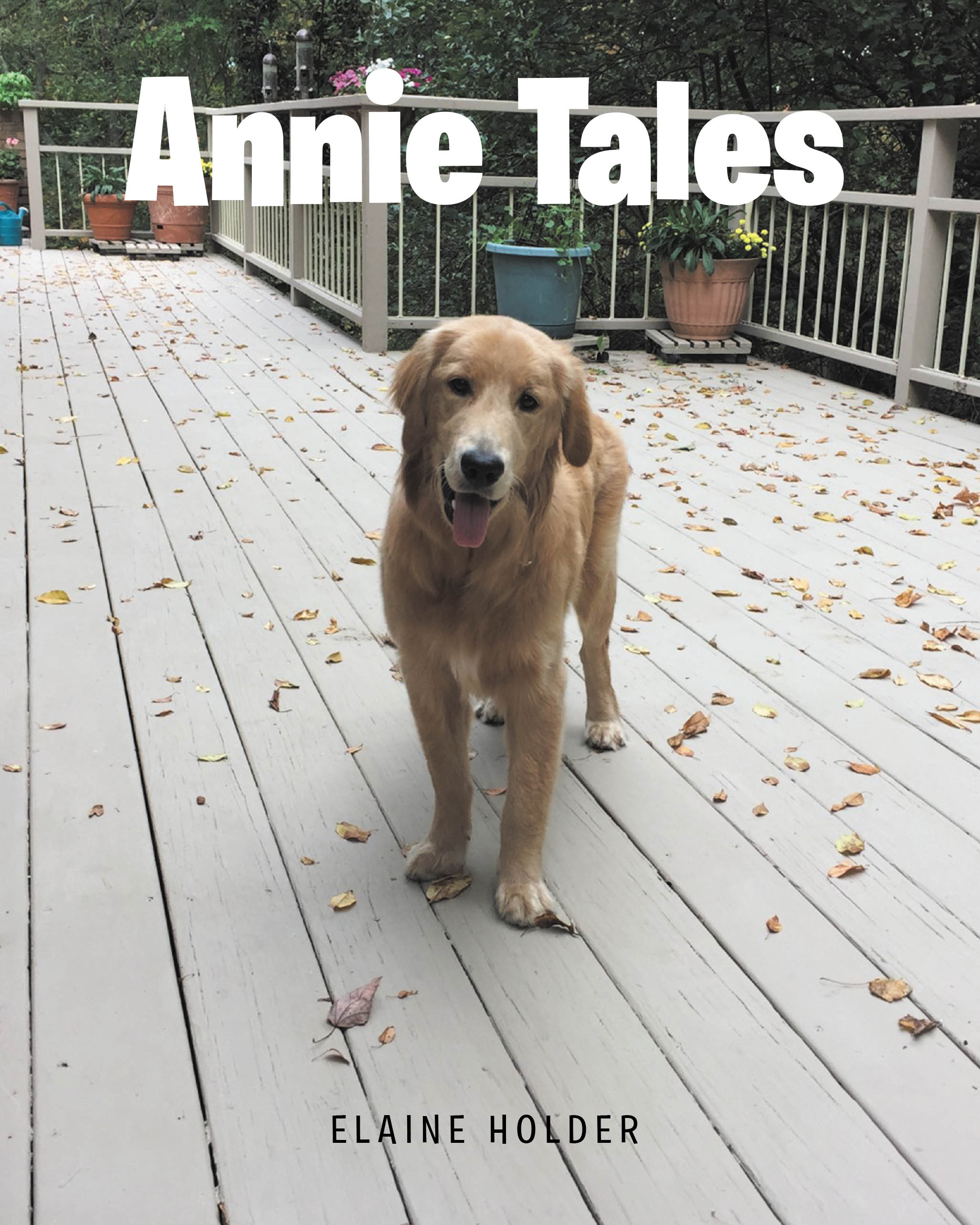 Annie Tales Cover Image