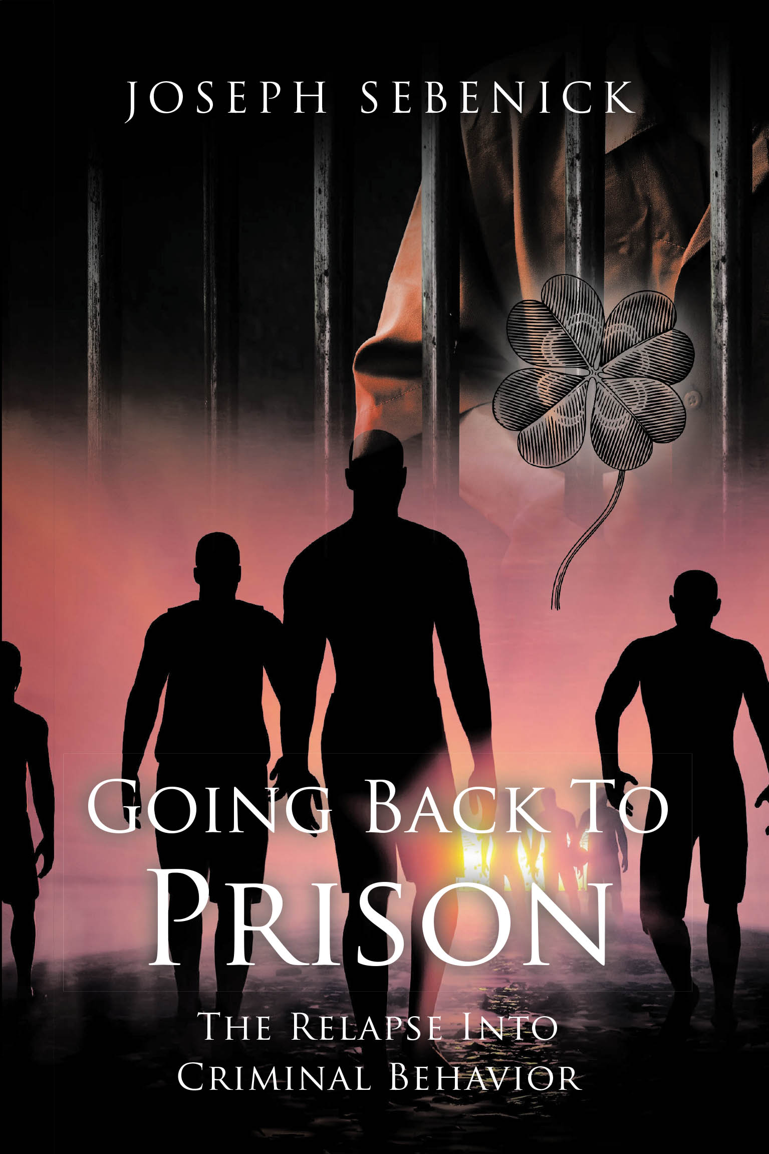 Going Back to Prison Cover Image