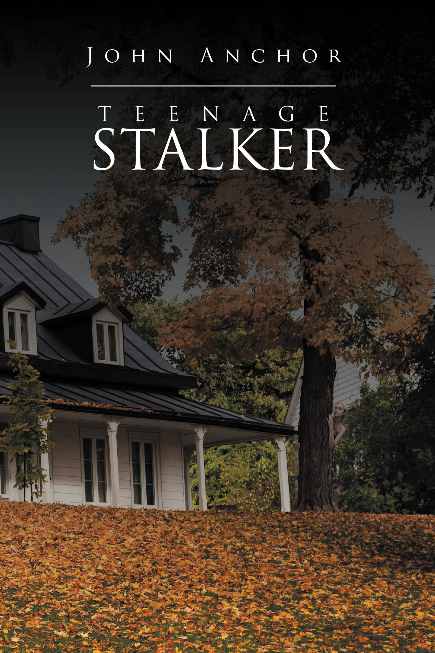 Teenage Stalker Cover Image