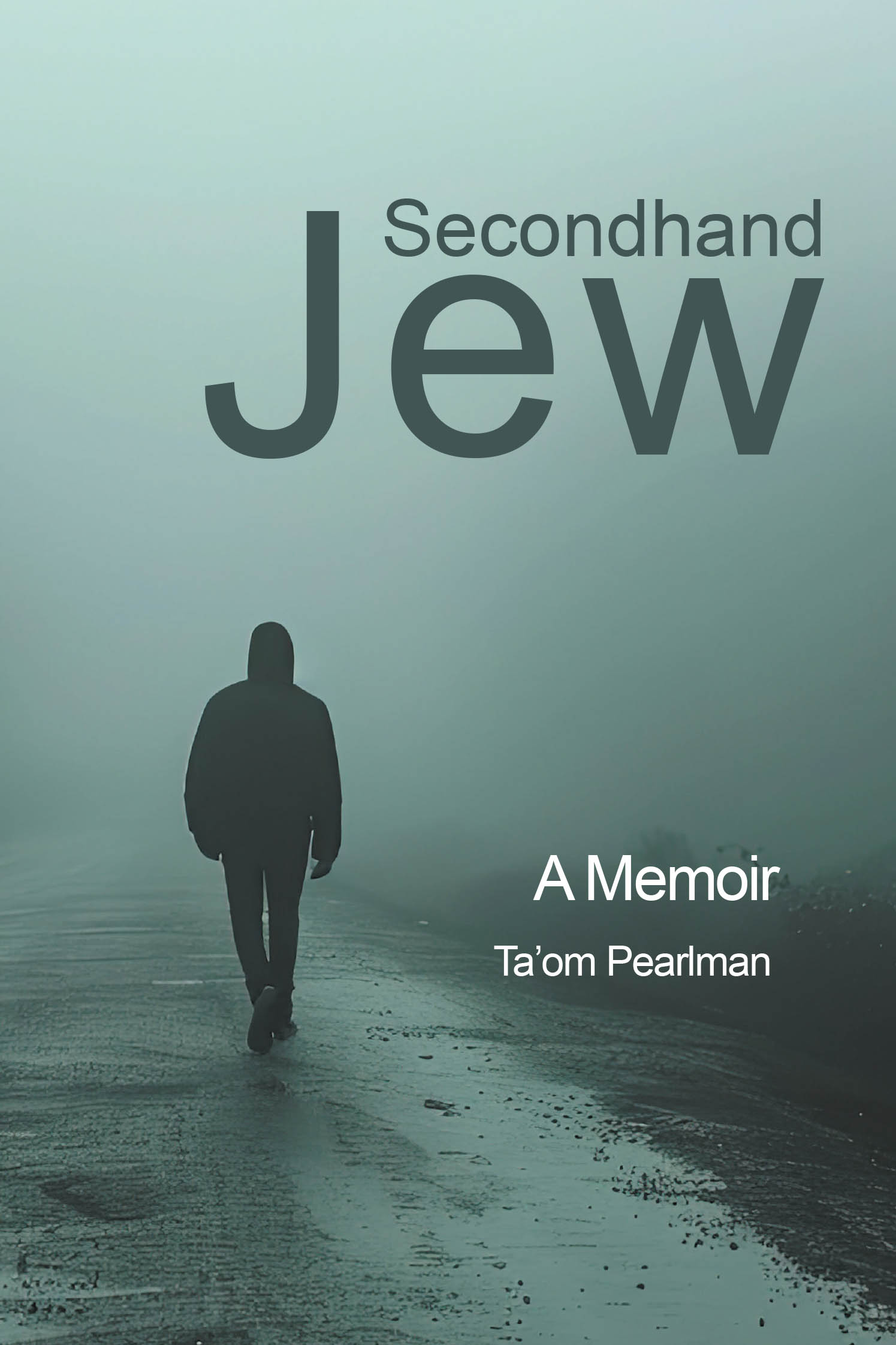 Secondhand Jew Cover Image