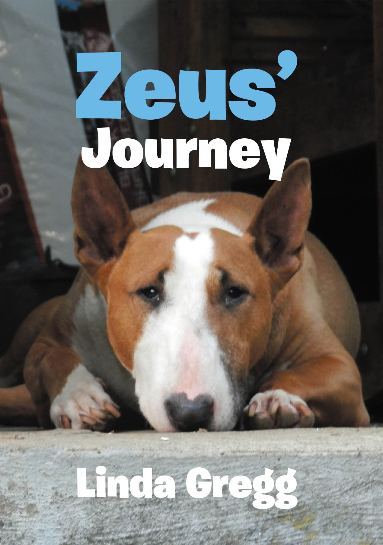 Zeus' Journey Cover Image