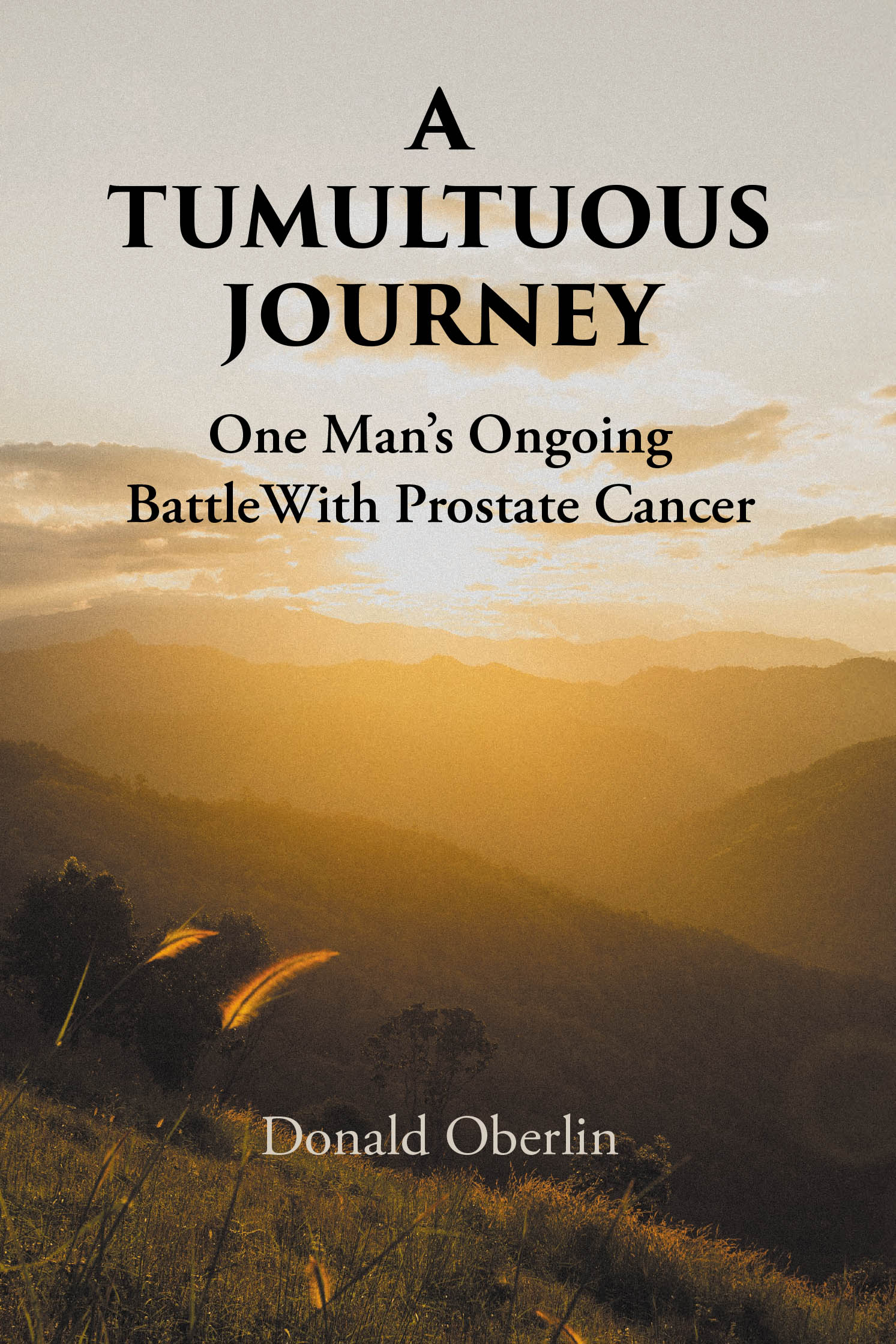 A Tumultuous Journey Cover Image