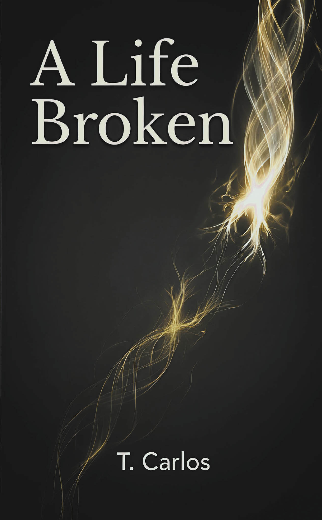A Life Broken Cover Image