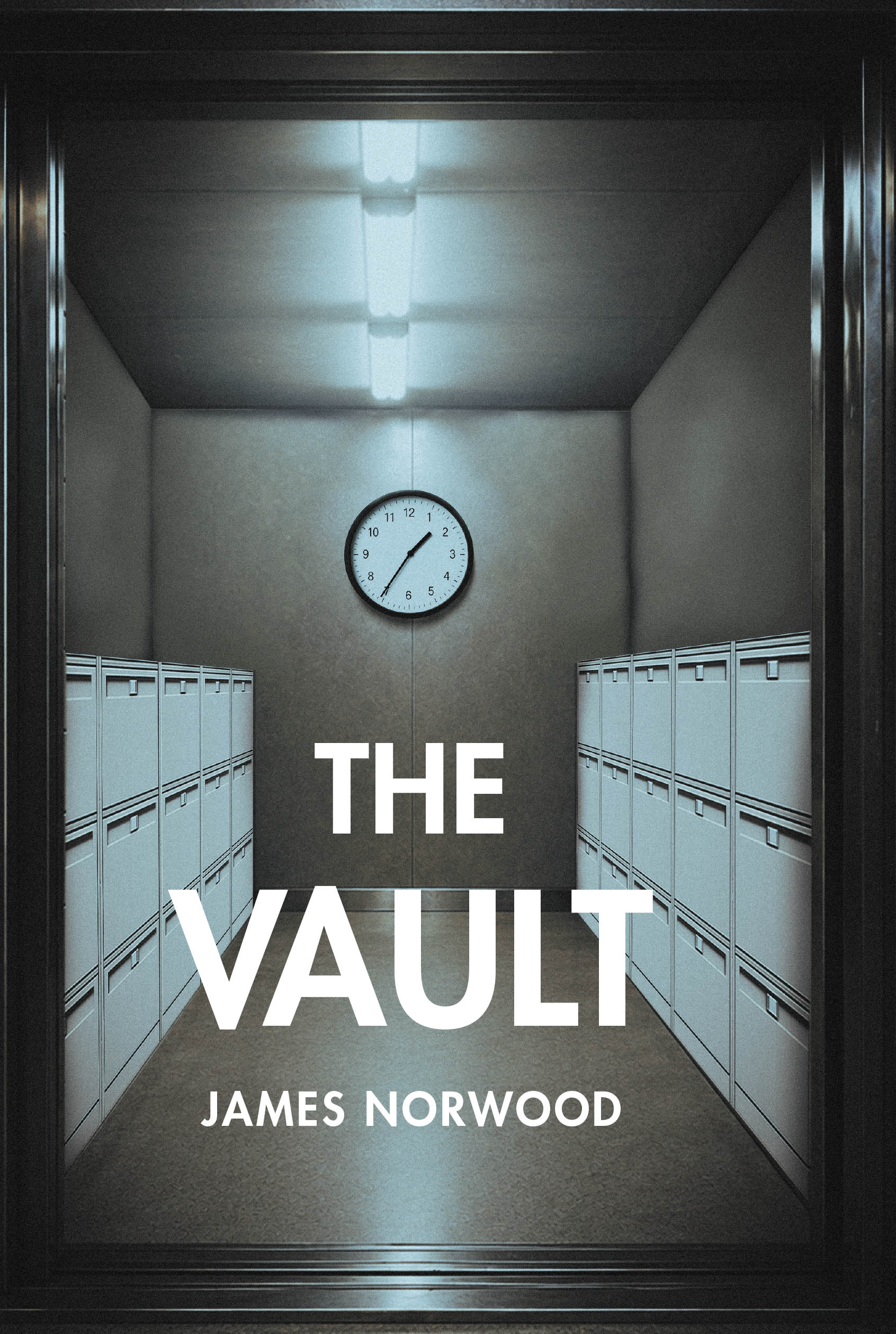 The Vault Cover Image