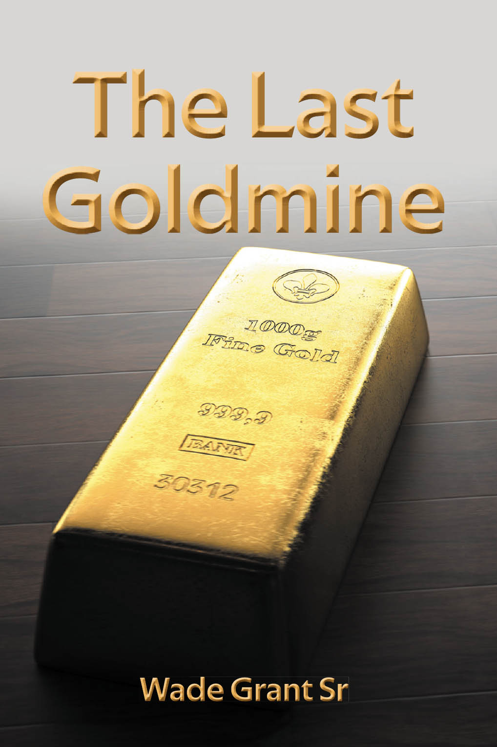The Last Goldmine Cover Image