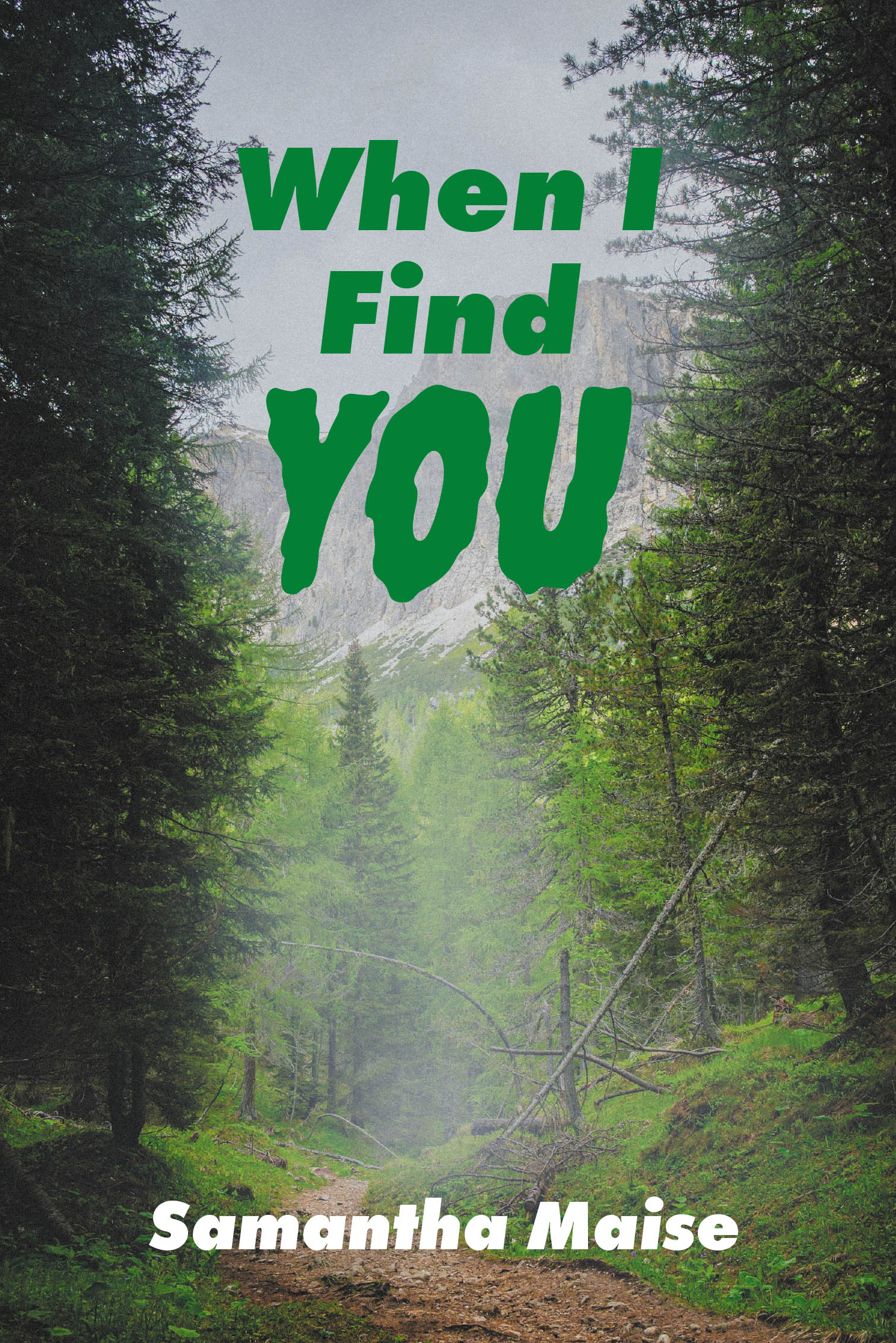 When I Find You Cover Image