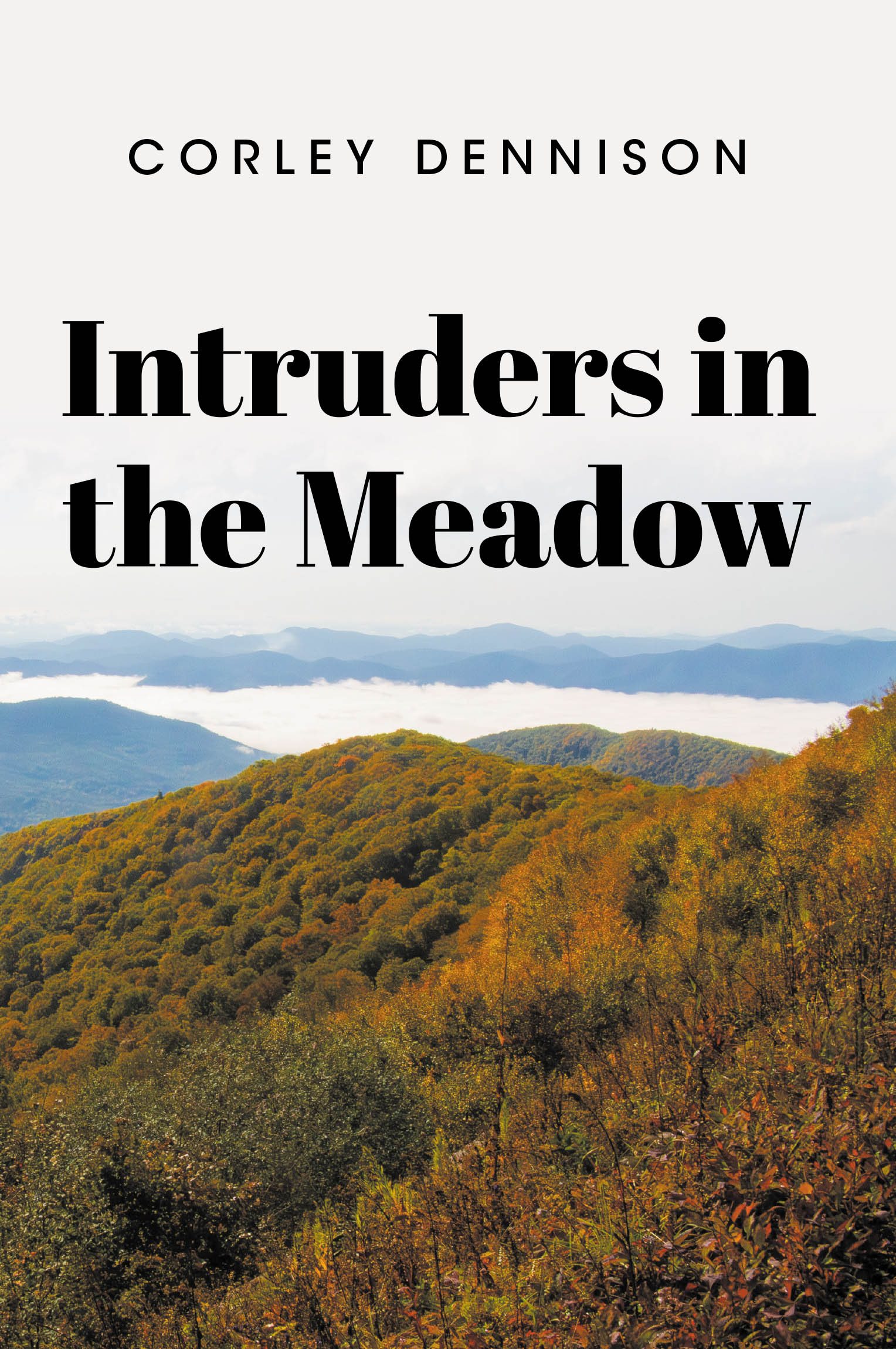Intruders in the Meadow Cover Image