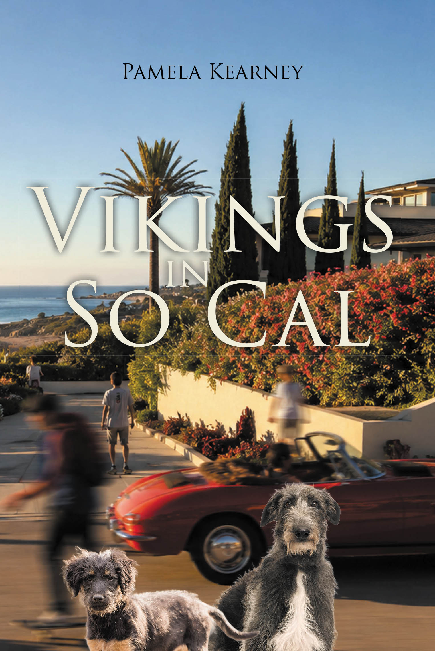 Vikings in So Cal Cover Image